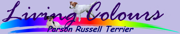 Parson_Russell_Terrier_NKatjaBanner2