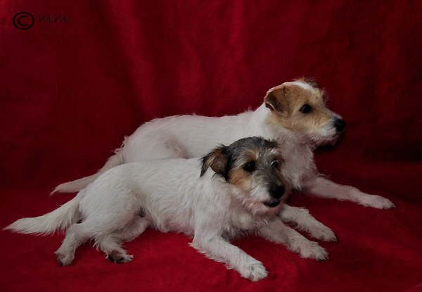 Mama und Tochter