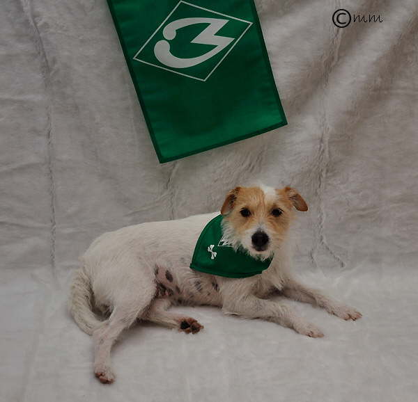 Scully und Werder