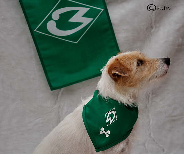 Scully und Werder 2