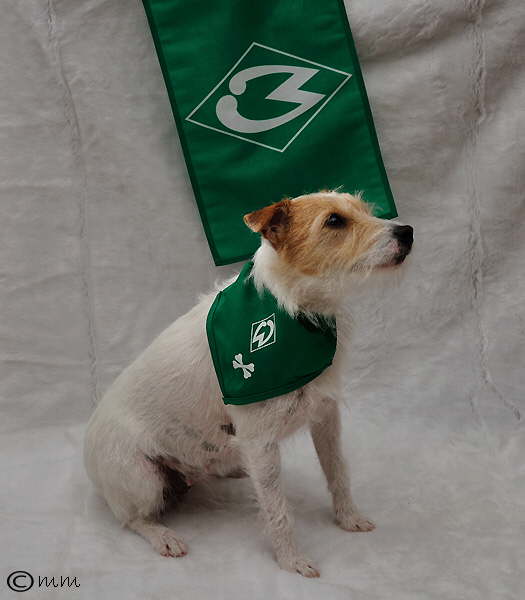 Scully und Werder 3