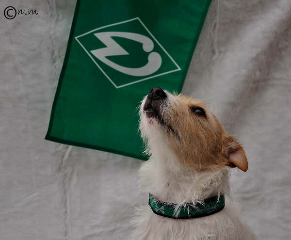 Scully und Werder 4
