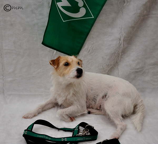 Scully und Werder 6